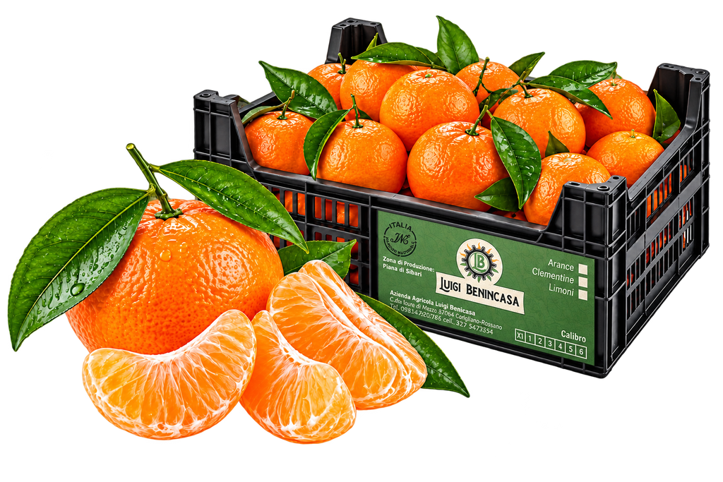 Mandarino bio Acqua & Sole - PRODUZIONE CORIGLIANO ROSSANO CASSETTA - DA 10 kg -  Lavorazione Artigianale Calibro Mix 3,20€ al kg
