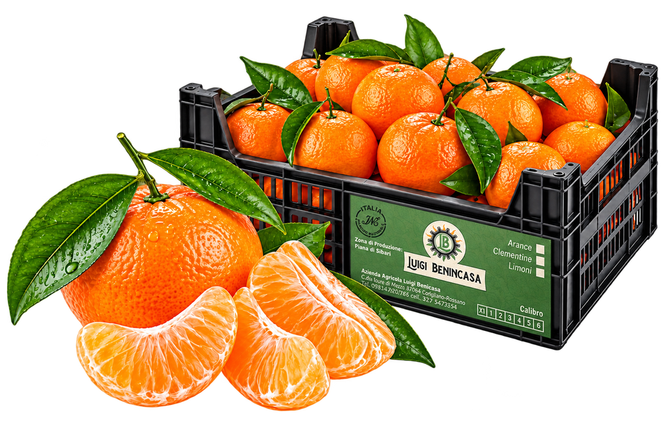 Mandarino bio Acqua & Sole - PRODUZIONE CORIGLIANO ROSSANO CASSETTA - DA 10 kg -  Lavorazione Artigianale Calibro Mix 3,20€ al kg