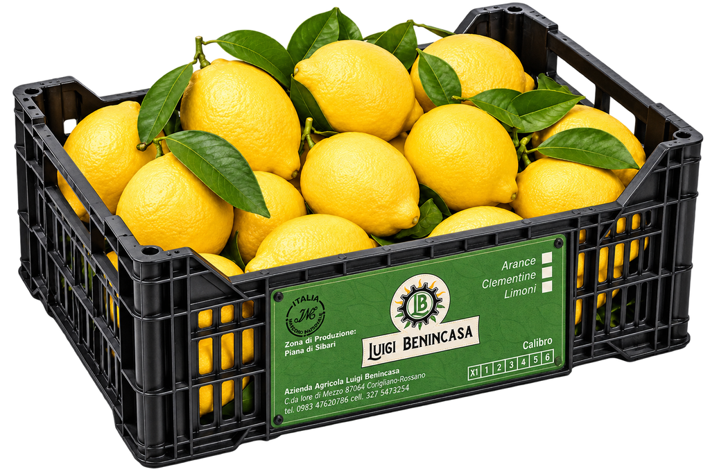 Limoni 4 stagioni