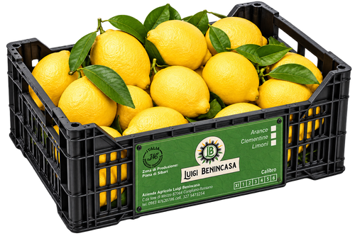 Limoni 4 stagioni