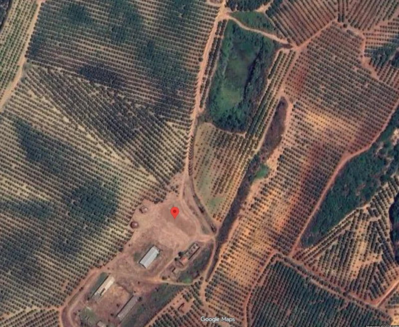 Posizione del frantoio su Google Maps
